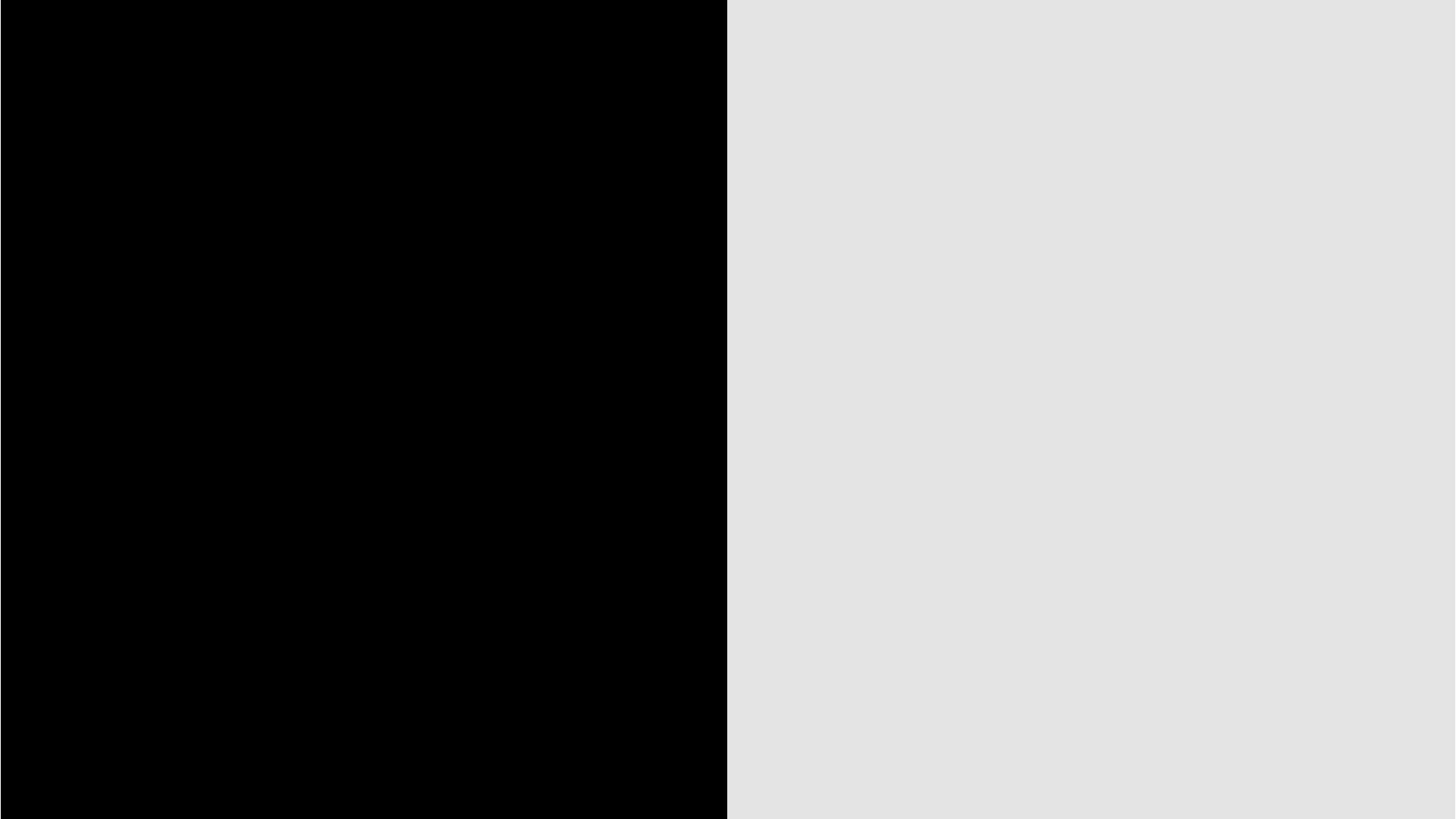 Silver /Black